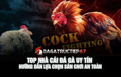 Top nhà cái đá gà uy tín - Hướng dẫn lựa chọn sân chơi an toàn