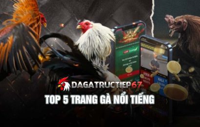 Top 5 trang gà nổi tiếng và xu hướng xem trực tiếp